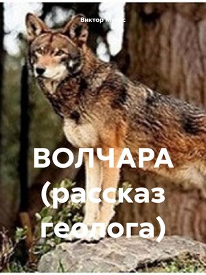 cover image of Волчара (рассказы геолога)